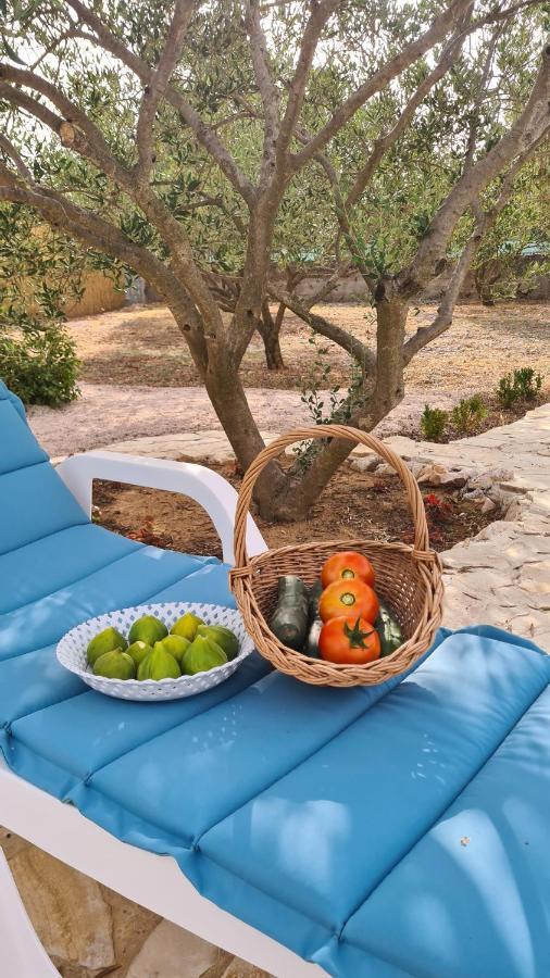 Stankovci  Villa Bubica- Cozy Holiday Home In Rural Area With Pool מראה חיצוני תמונה