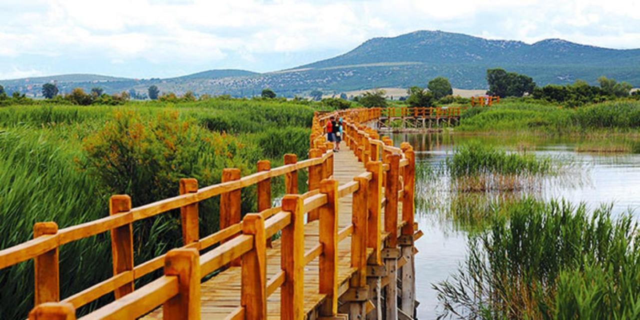 Stankovci  Villa Bubica- Cozy Holiday Home In Rural Area With Pool מראה חיצוני תמונה